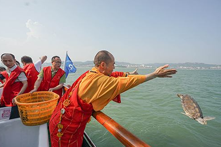 放生让我处处是善缘