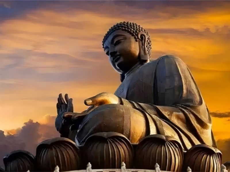 一日禅：世上最公平的是因果